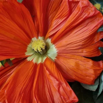 20250321_114413-high