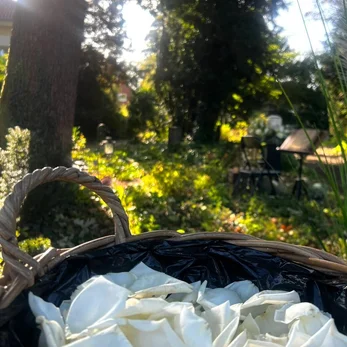 beisetzung-schulz-4-high