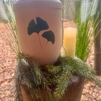 img-20250315-wa0001-high