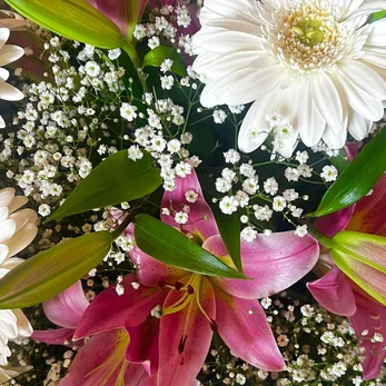 whatsapp-bild-2025-10-27-um-18-43-01_68b1f4c9-high